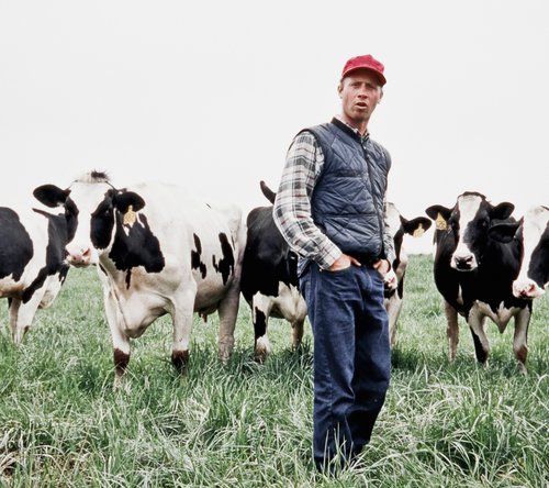 True to Food Field